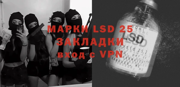шишки Балахна