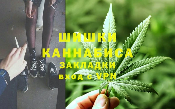 шишки Балахна