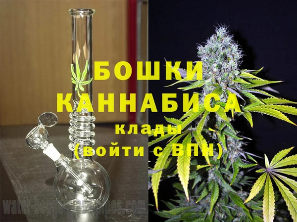шишки Балахна